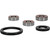 Pivot Works Polaris Wheel Bearing Kit Premium Bearings 25-1098-P