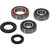 Pivot Works Kawasaki Wheel Bearing Kit Premium Bearings 25-1110-P