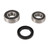 Pivot Works 1982 Honda CR125R Rear Wheel Bearing Kit