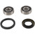Pivot Works 76-78 Yamaha RD400 Front Wheel Bearing Kit