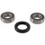 Pivot Works 97-99 Suzuki DR350 Front Wheel Bearing Kit