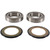 Pivot Works 21-22 Aprilia RS 660 Steering Stem Bearing Kit
