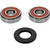Pivot Works Kawasaki, Suzuki Wheel Bearing Kit Premium Bearings 25-1353-P
