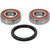 Pivot Works Gas-Gas, Husqvarna Wheel Bearing Kit Premium Bearings