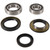 Pivot Works 99-01 Yamaha YFM600 Grizzly Rear Wheel Bearing Kit