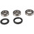 Pivot Works 98-02 Kawasaki ZX600 (ZX-6R) Rear Wheel Bearing Kit
