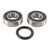 Pivot Works 2003 Victory Classic Cruiser Front Wheel Bearing Kit