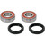 Pivot Works Aprilia, Kawasaki, Triumph Wheel Bearing Kit Premium Bearings