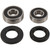 Pivot Works 96-99 Honda CRM250AR (NOT US MODEL) Rear Wheel Bearing Kit
