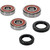 Pivot Works Honda Wheel Bearing Kit Premium Bearings 25-1355-P