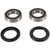 Pivot Works Adley ATV150S Rear Wheel Bearing Kit