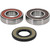 Pivot Works Polaris Wheel Bearing Kit Premium Bearings 25-1667-P