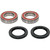 Pivot Works Kawasaki Wheel Bearing Kit Premium Bearings 25-1121-P