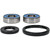 Pivot Works Kawasaki Wheel Bearing Kit Premium Bearings 25-1743-P