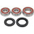 Pivot Works Kawasaki Wheel Bearing Kit Premium Bearings 25-1280-P