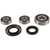 Pivot Works 95-04 Suzuki GSF600S Bandit Rear Wheel Bearing Kit