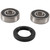 Pivot Works 20-21 KTM Adventure 390 Front Wheel Bearing Kit