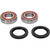 Pivot Works CF-Moto Wheel Bearing Kit Premium Bearings