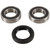 Pivot Works 2003 Kawasaki KLX400R Front Wheel Bearing Kit