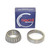 Athena 04-10 Honda 230 F Enduro 230 Steering Bearing Kit