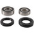 Pivot Works 96-02 Honda CR80R - Rear Wheel Bearing Kit