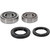 Pivot Works Premium Wheel Bearing 25-1252-P