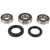Pivot Works DRZ Rear Wheel Bearing Kt 00-07