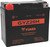 Yuasa GYZ20H High Performance Maintenance Free AGM 12-Volt Battery Yuasa GYZ20H High Performance Maintenance Free AGM 12-Volt Battery