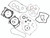 Complete Gasket Set With Oil Seals Kaw