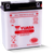 Yuasa YB12A-B Yumicron 12-Volt Battery