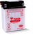 Yuasa YB12C-A Yumicron 12-Volt Battery