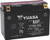 Yuasa YT9B-BS Maintenance Free 12-Volt AGM Battery w/Bottle