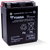 Yuasa YTX14AH-BS High Performance AGM 12-Volt Battery w/Bottle