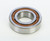 Crankshaft Bearing Hus/Husq/Ktm/Tm