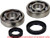 Main Bearing/Seal Kit K008