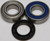 Jack Shaft Bearing & Seal Kit Jack Shaft Bearing & Seal Kit