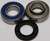 Jack Shaft Bearing & Seal Kit 14-1061 Jack Shaft Bearing & Seal Kit 14-1061