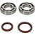 Crankshaft Bearing/Seal Kit Crankshaft Bearing/Seal Kit
