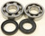 Crankshaft Bearing/Seal Kit 24-1043