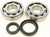 Crankshaft Bearing/Seal Kit 24-1038