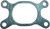Exhaust Gasket 718197 Exhaust Gasket 718197