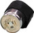 12 V Flasher/2 Prong 12 V Flasher/2 Prong