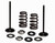 Ss Intake Valve/Spring Kit