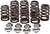 Valve Spring Kit Beehive M8 High Lift Titanium