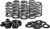 Racing Valve Spring Kit 82-82580