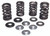 Racing Valve Spring Kit 30-33600
