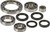 Rear Differential Bearing And Seal Kit 25-2064