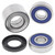 Indian Rear Wheel Bearing Kit