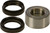 Wheel Bearing & Seal Kit 25-1497