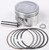Piston Kit (79.00mm)